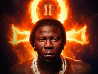 wilderness by stonebwoy