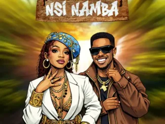 nsi namba by sheebah and t paul