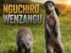 mzee wa hovyo by Free Da Truth