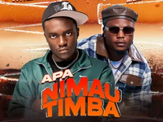 Nimautimba by Vinchenzo M’bale ft mizzy c